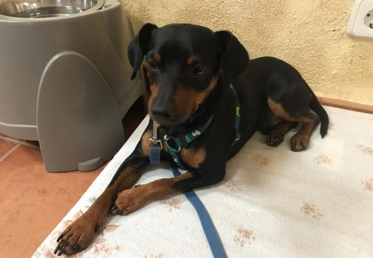 multimedia-foto64001-400-1