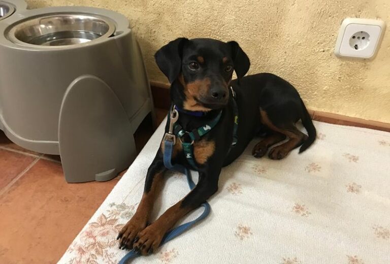 multimedia-foto64003-400-1