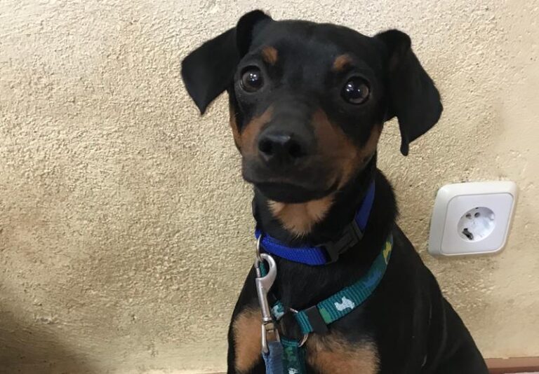 multimedia-foto64004-401-1