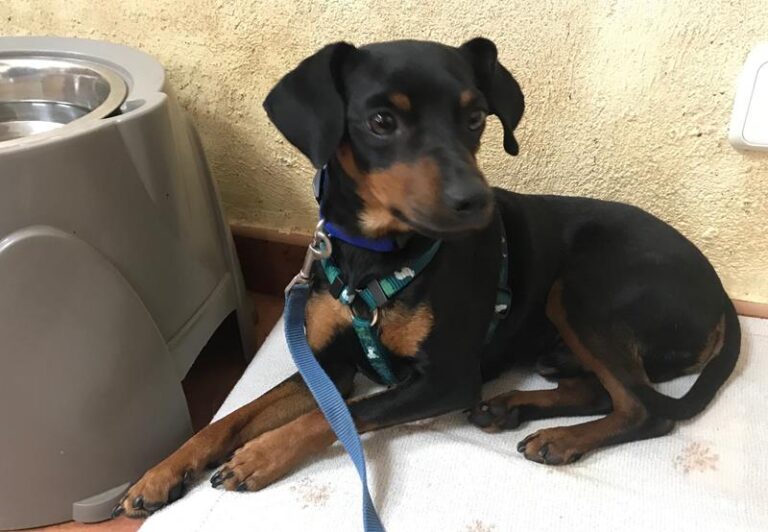 multimedia-foto64005-401-1