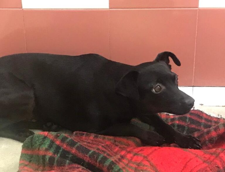 multimedia-foto64006-736-1