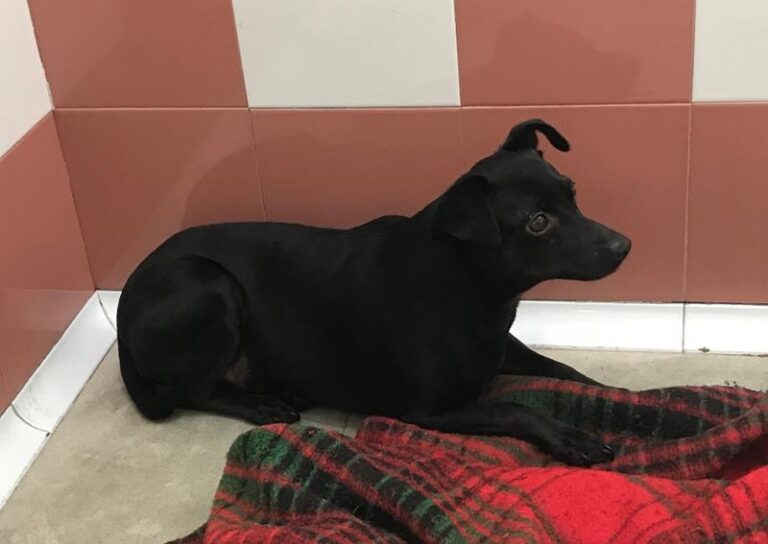 multimedia-foto64007-737-1