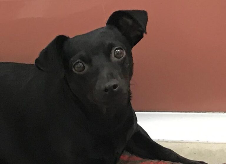 multimedia-foto64008-737-1