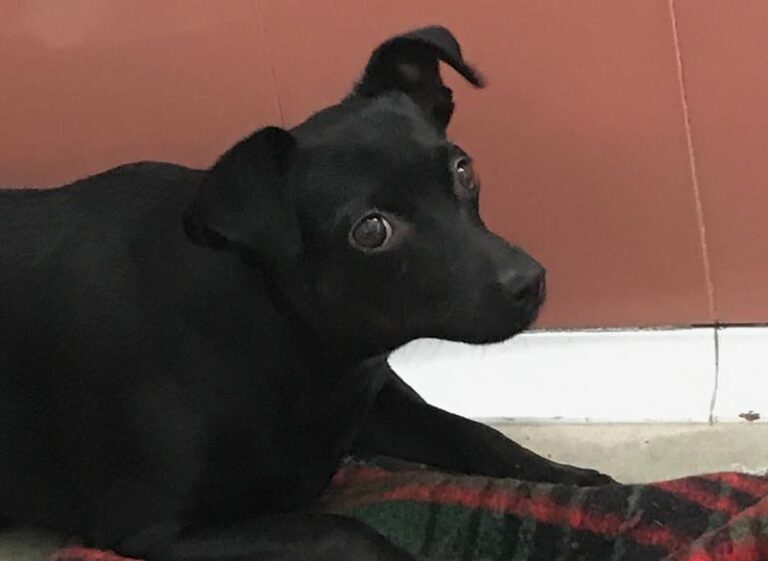 multimedia-foto64009-738-1