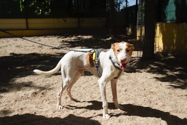 multimedia-foto64012-966-1