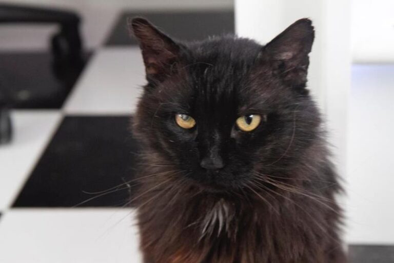 multimedia-foto64018-642-1