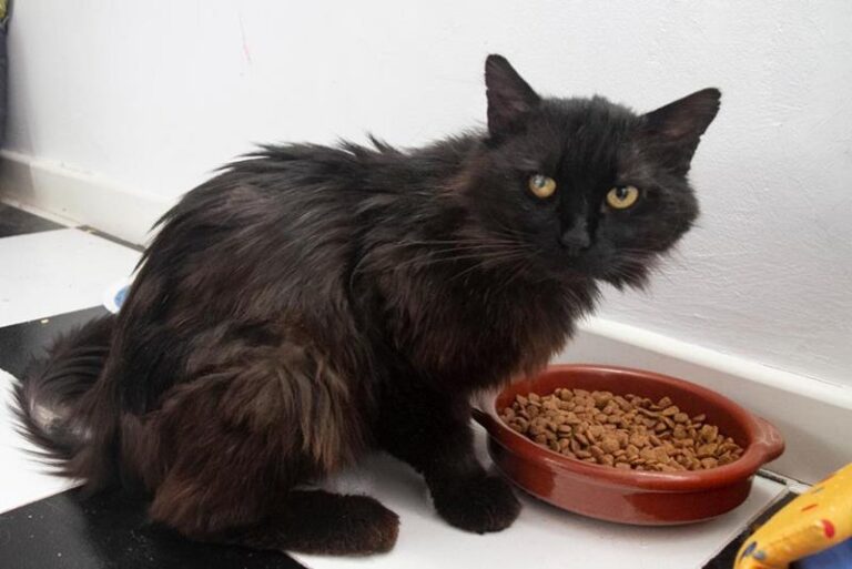 multimedia-foto64019-642-1