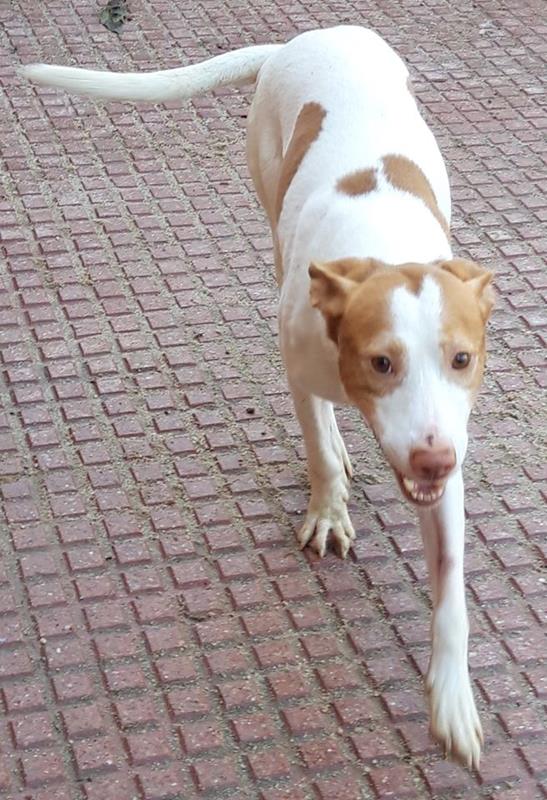 multimedia-foto64023-684-1