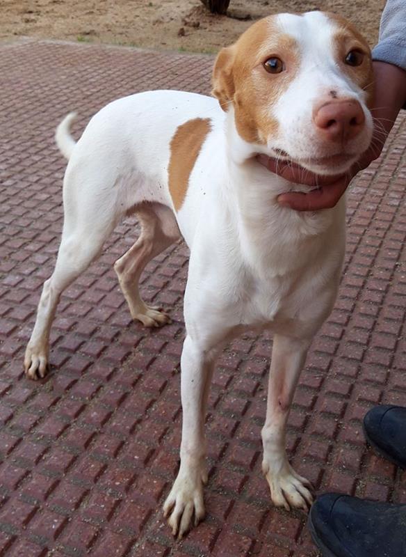 multimedia-foto64024-685-1