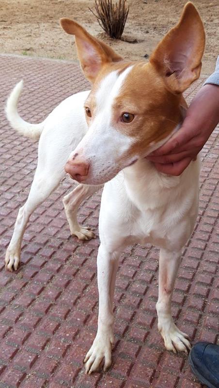 multimedia-foto64025-685-1