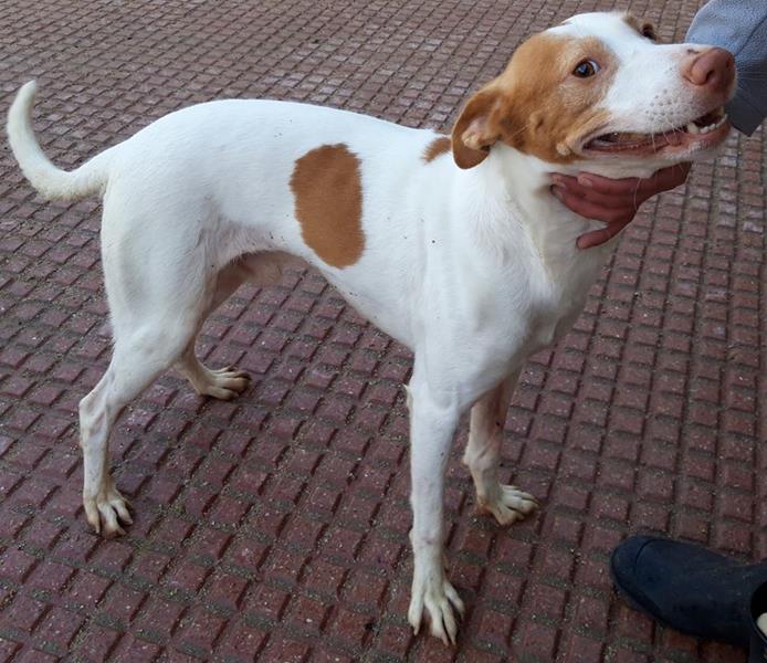 multimedia-foto64026-686-1