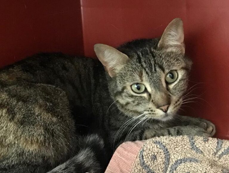 multimedia-foto64034-543-1