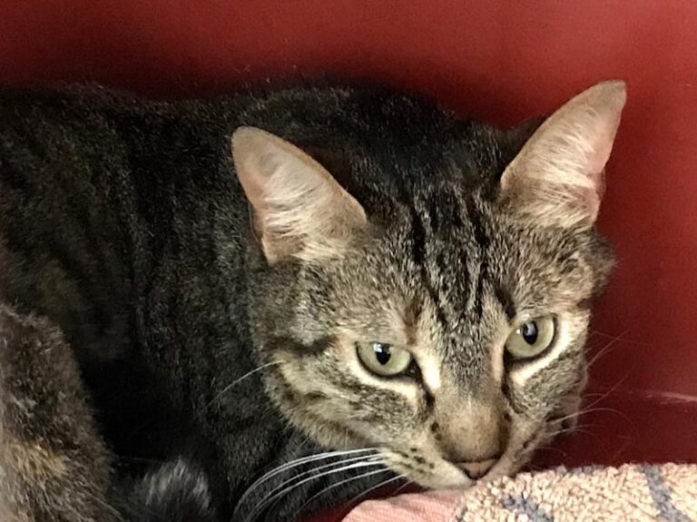 multimedia-foto64036-544-1