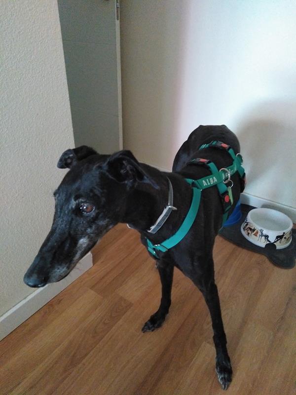 multimedia-foto64040-734-1