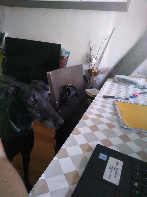 multimedia-foto64041-735-1