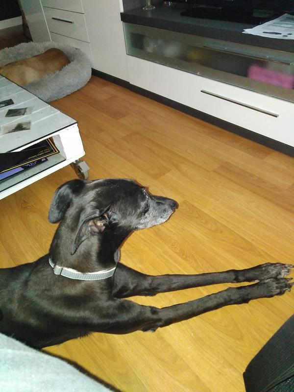 multimedia-foto64042-735-1