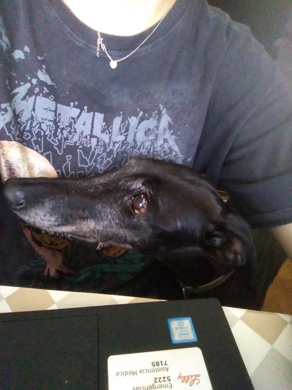 multimedia-foto64043-735-1