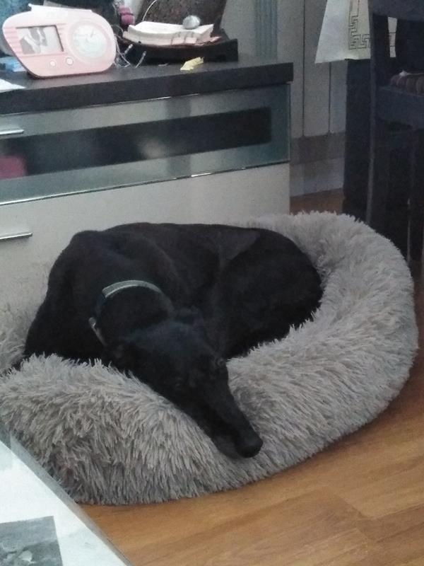 multimedia-foto64046-737-1