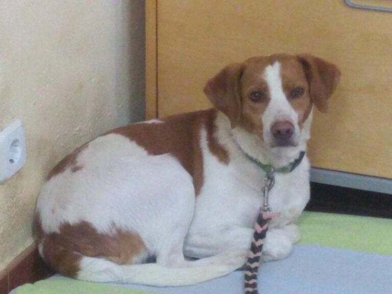 multimedia-foto64086-470-3