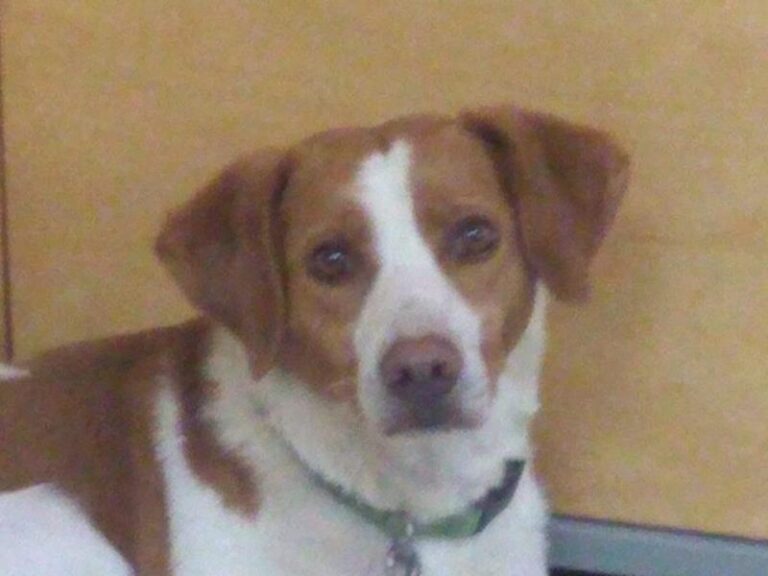 multimedia-foto64087-470-3