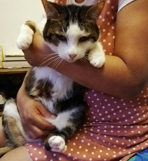 multimedia-foto64095-162-1