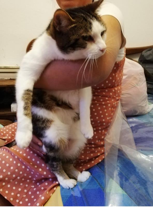 multimedia-foto64096-163-1