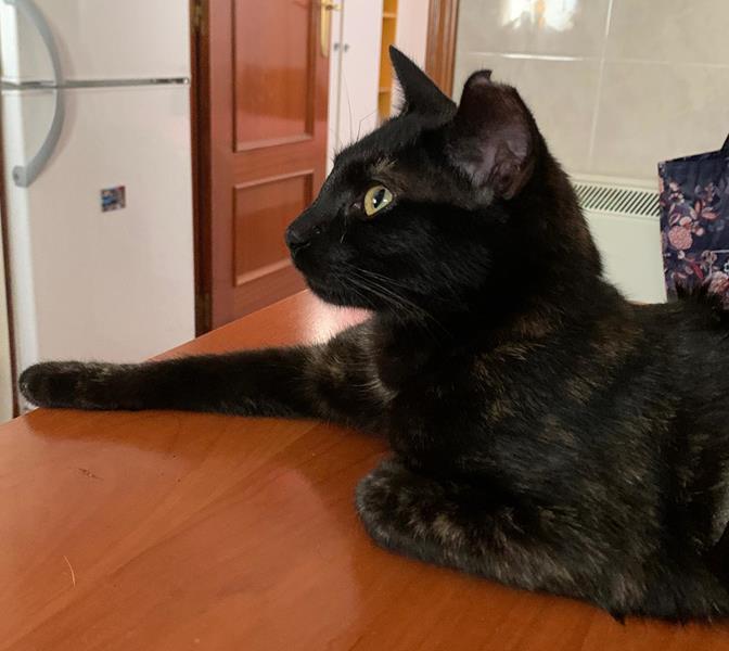 multimedia-foto64099-489-1