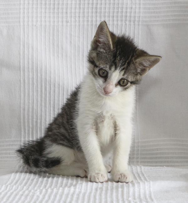 multimedia-foto64105-310-1