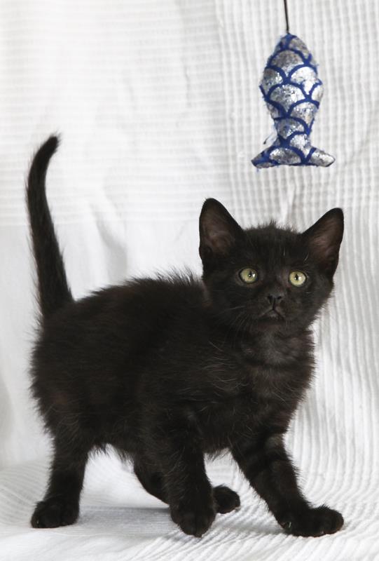 multimedia-foto64111-361-1