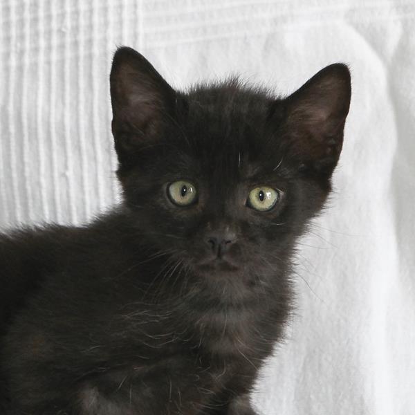 multimedia-foto64112-362-1