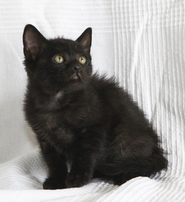 multimedia-foto64113-362-1