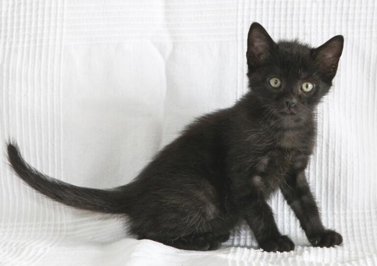 multimedia-foto64114-363-1