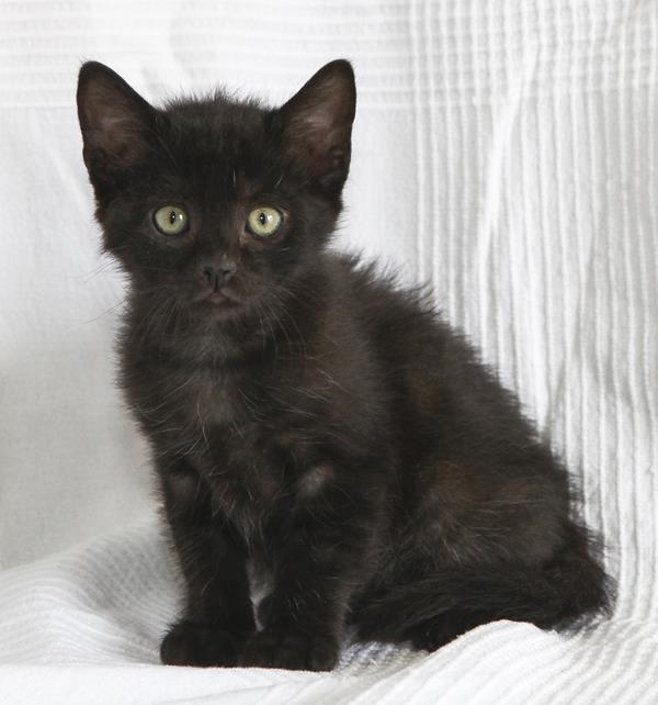 multimedia-foto64115-363-1