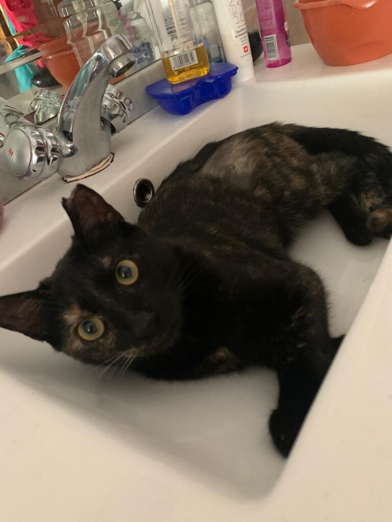 multimedia-foto64143-817-1