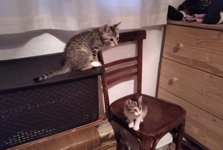 multimedia-foto64148-327-1