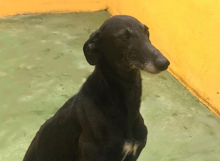 multimedia-foto64154-55-1