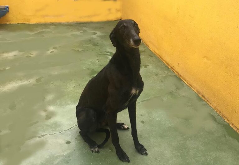 multimedia-foto64155-55-1