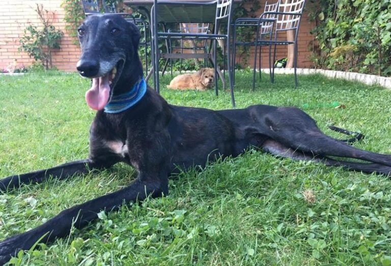 multimedia-foto64156-56-1