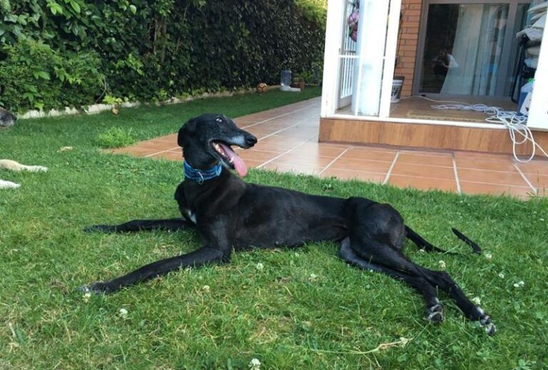 multimedia-foto64157-56-1