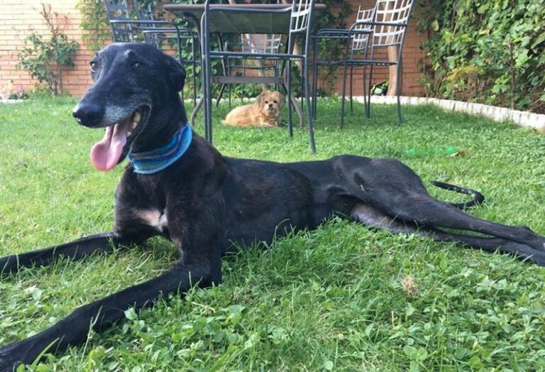 multimedia-foto64158-57-1