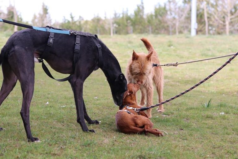 multimedia-foto64268-880-1