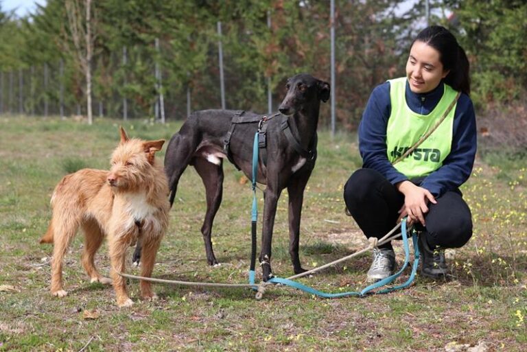 multimedia-foto64269-880-1