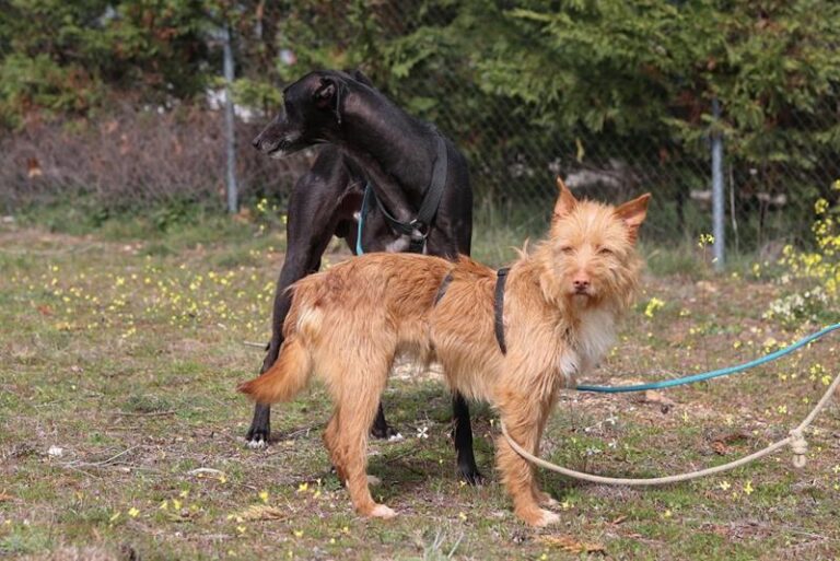 multimedia-foto64271-881-1