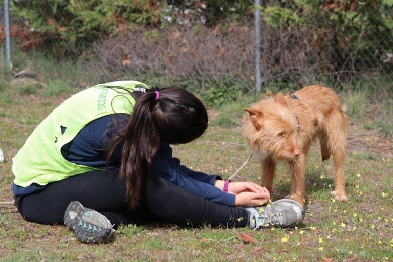 multimedia-foto64272-881-1