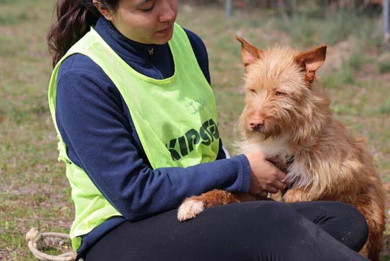 multimedia-foto64273-882-1