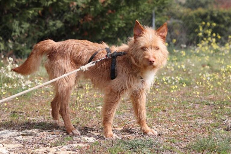 multimedia-foto64275-883-1