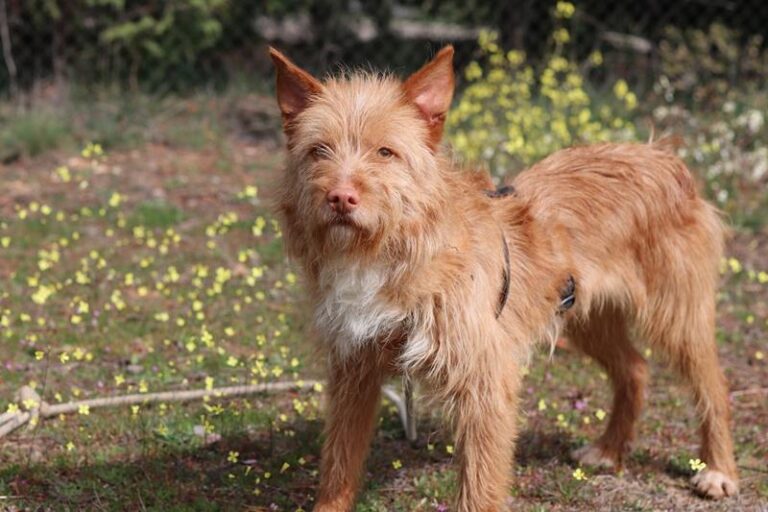 multimedia-foto64276-883-1