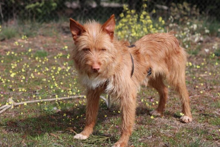 multimedia-foto64277-883-1