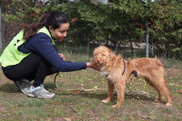 multimedia-foto64278-884-1