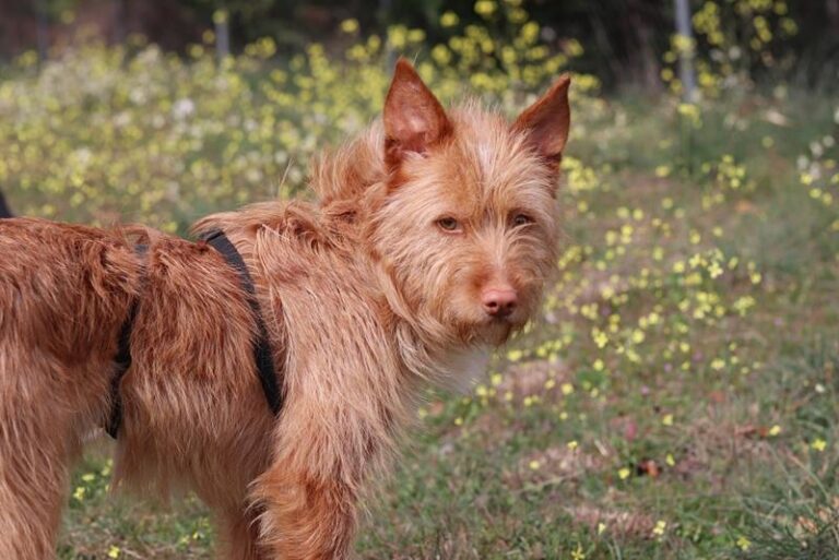 multimedia-foto64279-884-1